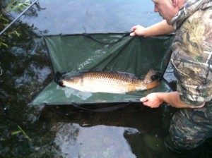Catch & Release