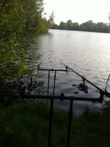 Karpfenruten auf Banksticks